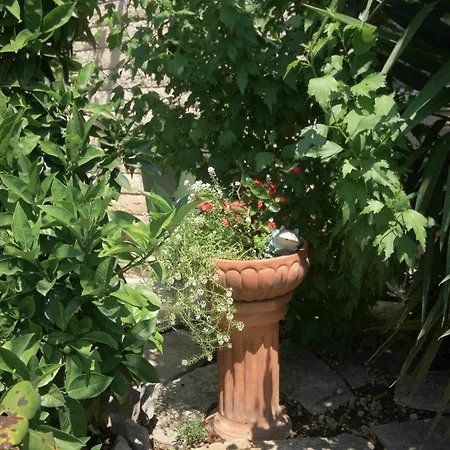 Apartament With Parking Space Orebic, Peljesac - 638 Orebić