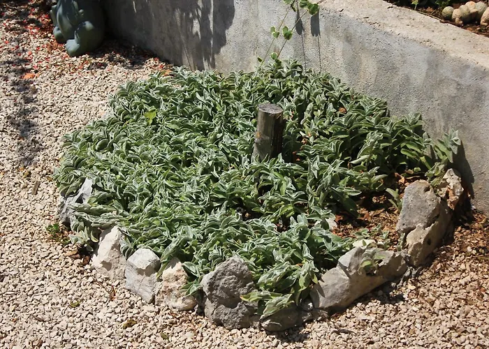 Appartamento With Parking Space Orebic, Peljesac - 638