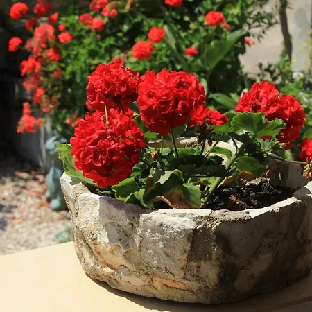 With Parking Space Orebic, Peljesac - 638 Orebić