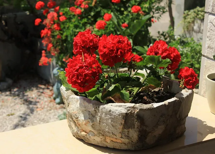 With Parking Space Orebic, Peljesac - 638 Orebić