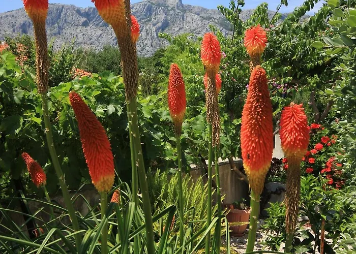 Lejlighed With Parking Space Orebic, Peljesac - 638 *